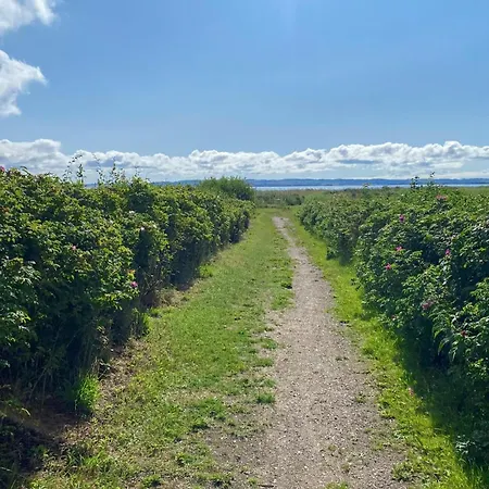 Lovely In With Wifi * Egå